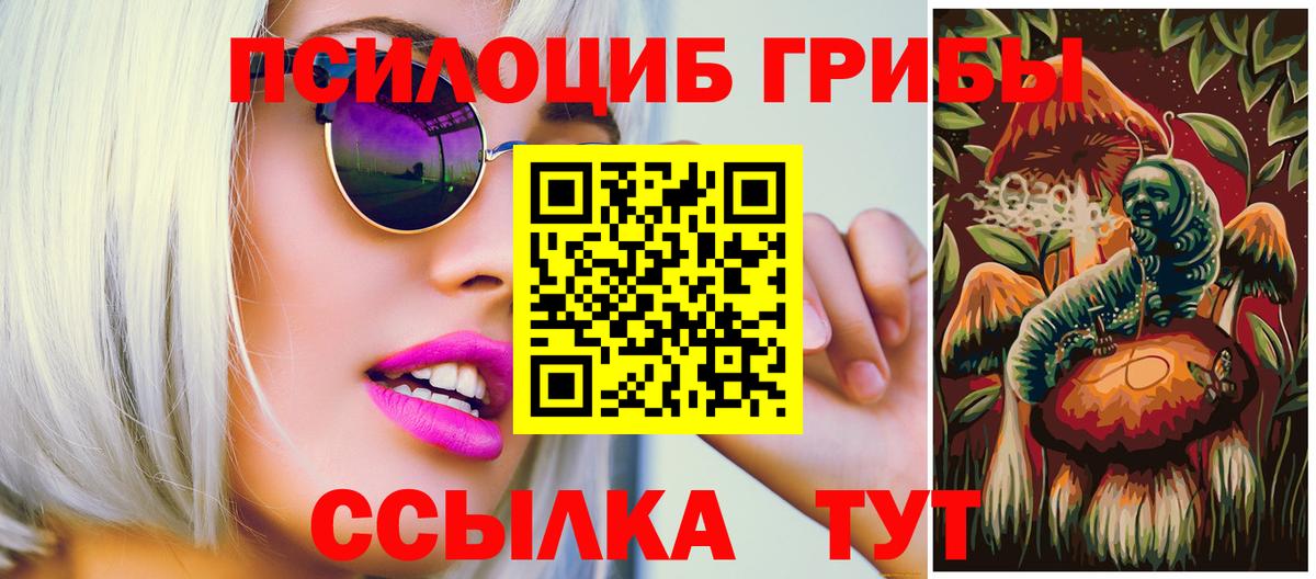 Орёл  Псилоцибиновые грибы GOLDEN TEACHER  Галлюциногенные грибы Magic Shrooms  Вход с VPN 